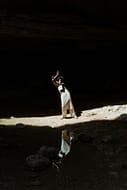 Black woman posing gracefully in a sunlit cavern creating a dramatic reflection.