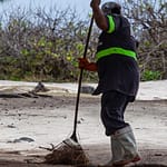 raking leaves, raking twigs, garden worker, clean up, waste worker, raking, white boots, worker, raking leaves, raking leaves, raking leaves, raking leaves, raking leaves, garden worker, clean up, raking, raking