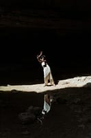 Black woman posing gracefully in a sunlit cavern creating a dramatic reflection.
